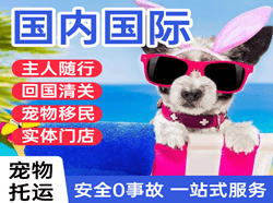 昭苏天马机场邮寄国际宠物托运 【国